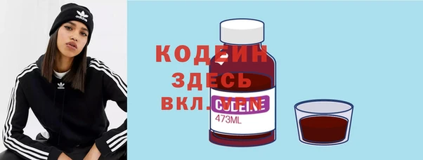 эйфоретик Бородино