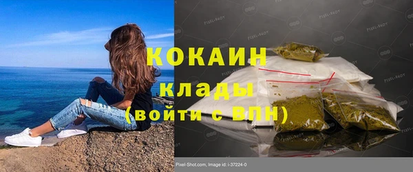 индика Баксан