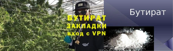 индика Баксан