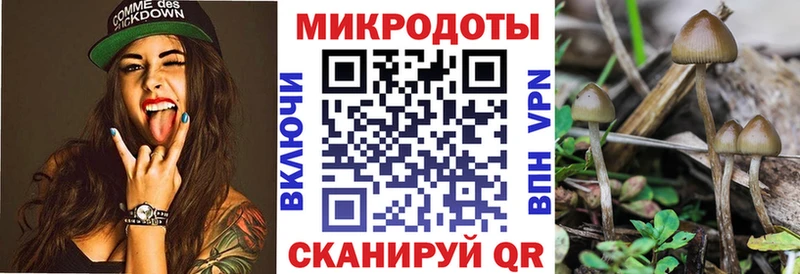 kraken как войти  Колпашево  Псилоцибиновые грибы Psilocybe  цена наркотик 
