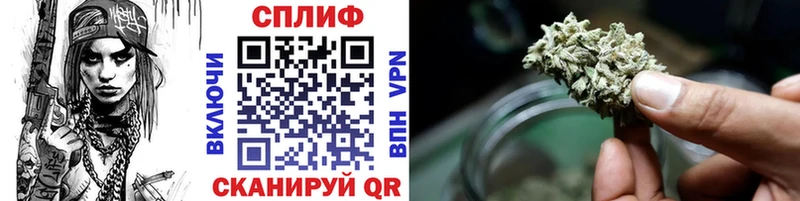 Марихуана Amnesia  продажа наркотиков  Колпашево 